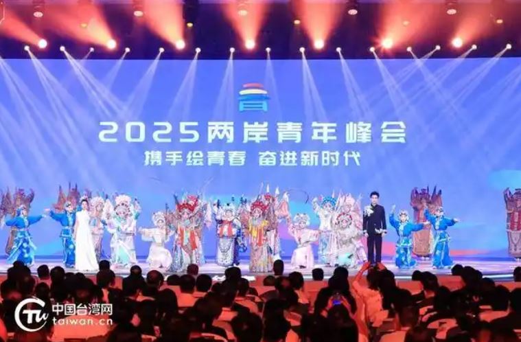 “在北京，我看見兩岸青年在彼此的青春裏種下友好的種子”_fororder_峰會2.JPG