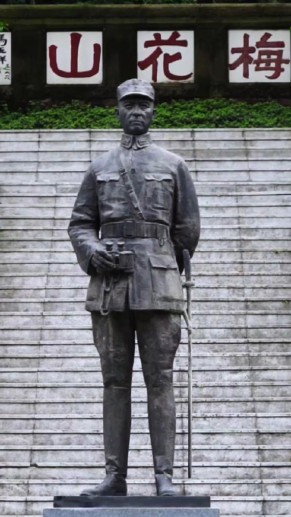 張自忠·將軍拔刀起 誓死衛山河