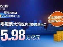 今年前8個月中國區域外貿穩步提升