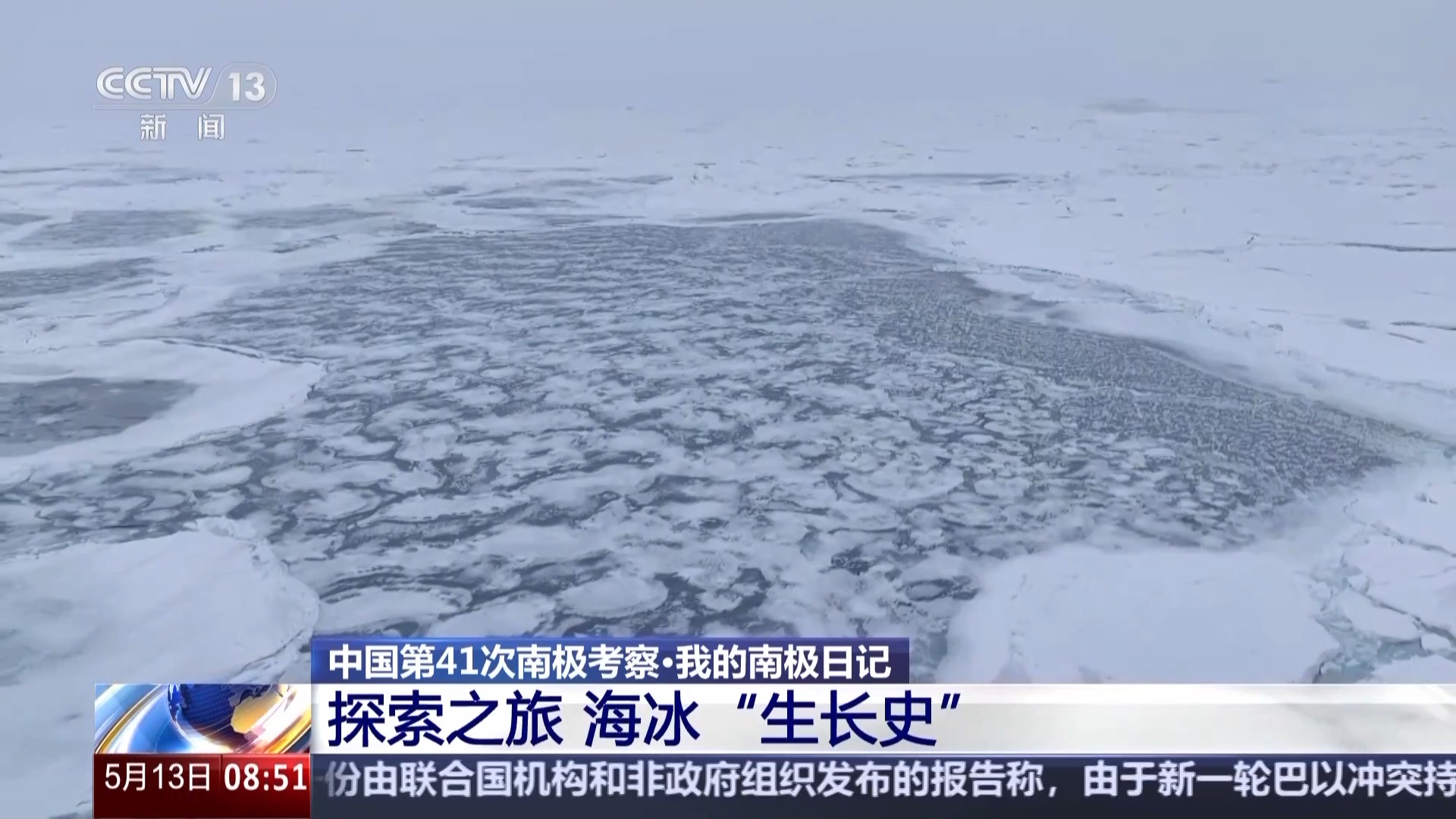 涉及海冰研究、海洋生物等 中國南極科考有了新發現 涉及海冰研究、海洋生物等 中國南極科考有了新發現