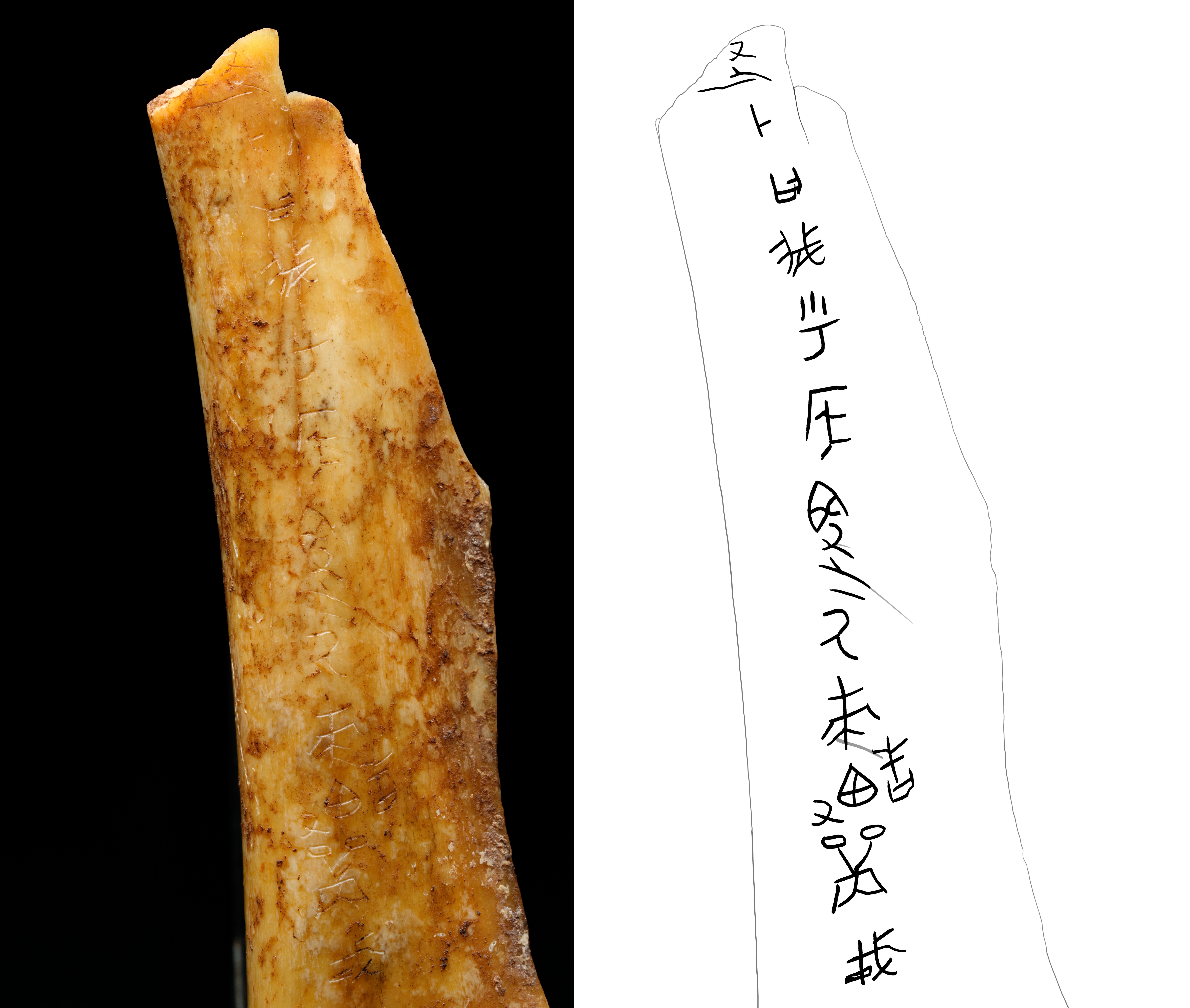 武王墩一號墓等入選 2024年度全國十大考古新發現公佈