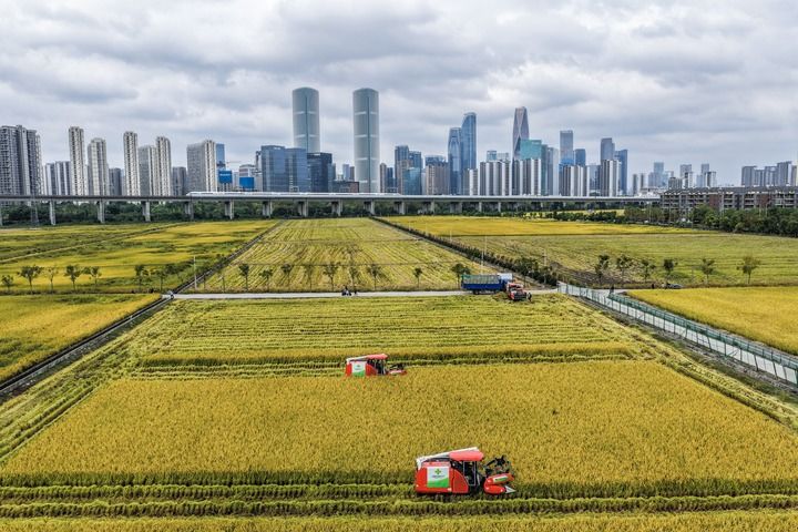 江山壯闊萬象新——習近平總書記引領中國式現代化新征程 江山壯闊萬象新——習近平總書記引領中國式現代化新征程