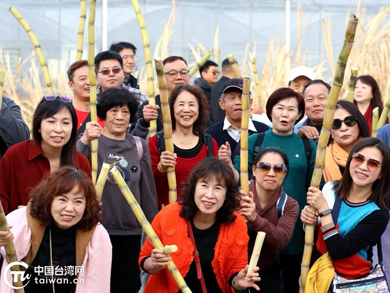 鄉味濃 兩岸親！台灣民宿交流團橫溪之旅甜度爆表