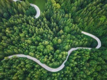 全球增綠看中國！2025年國土綠化公報亮出硬核數據