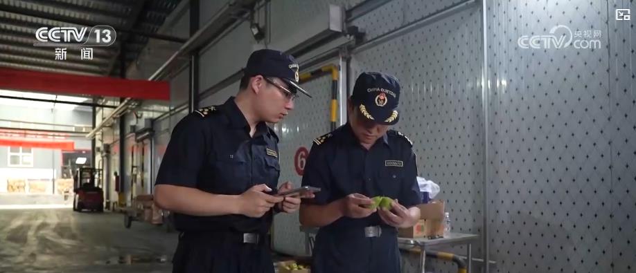 進出口總值突破3萬億元！黃河流域打造內陸對外開放新高地