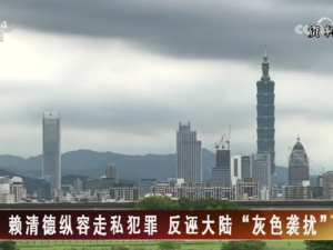 【海峽兩岸】賴清德縱容走私犯罪  反誣大陸“灰色襲擾”