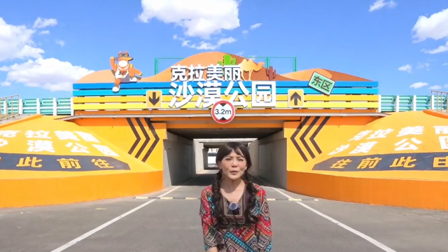 台灣網紅點讚S21阿烏高速公路 沉浸式感受新疆沙漠旅遊公路魅力_fororder_螢幕截圖 2025-10-17 231911