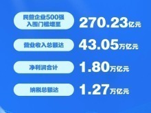 “2025中國民營企業500強”發佈
