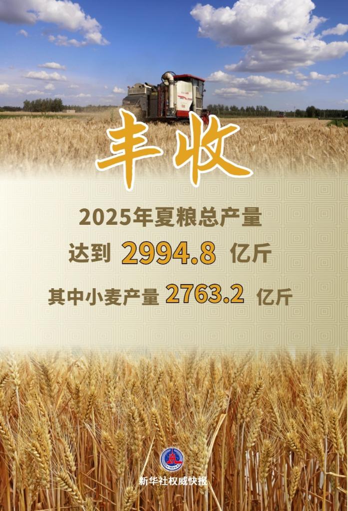 今年全國夏糧獲得豐收 總産量達2994.8億斤