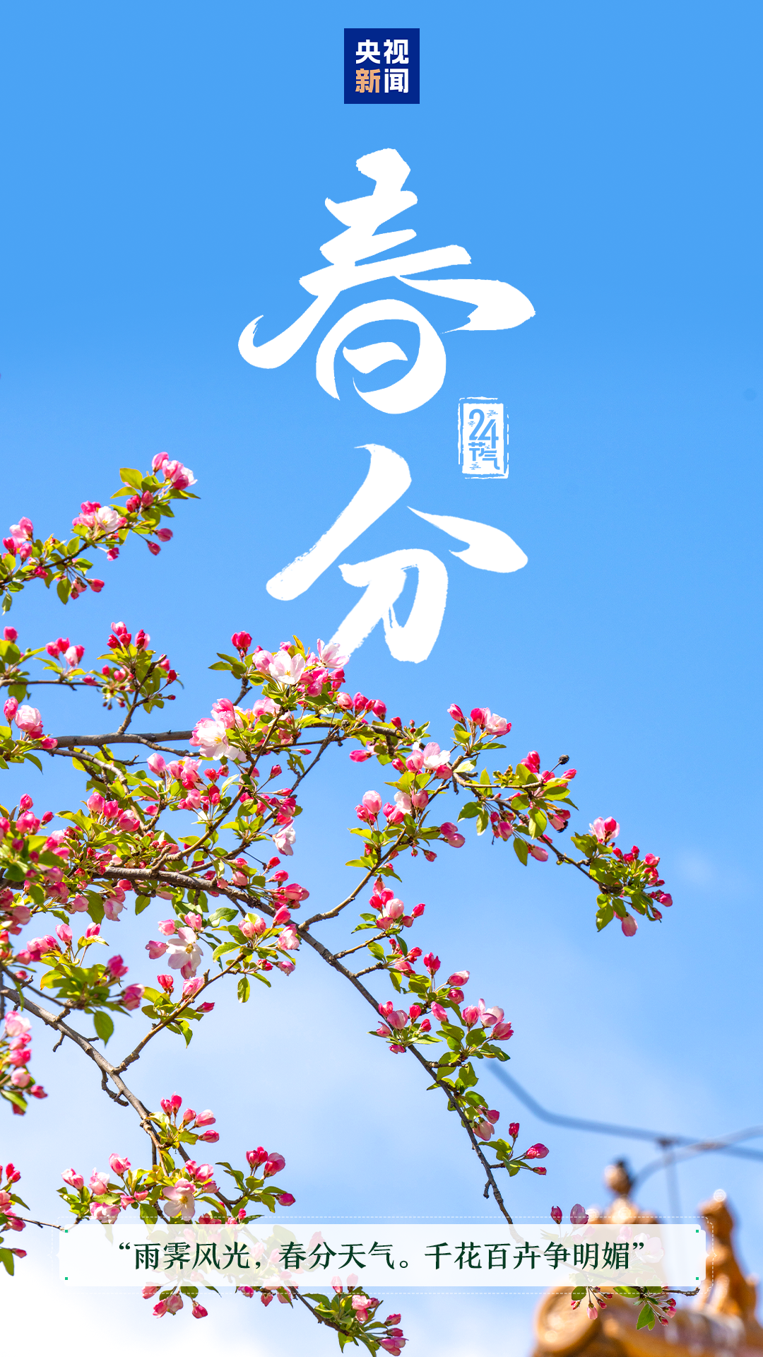 鏄ュ拰鏅槑涓囪薄鏇存柊 浠婃棩榪庢潵鈥滄槬鍒嗏 鑺傛皵