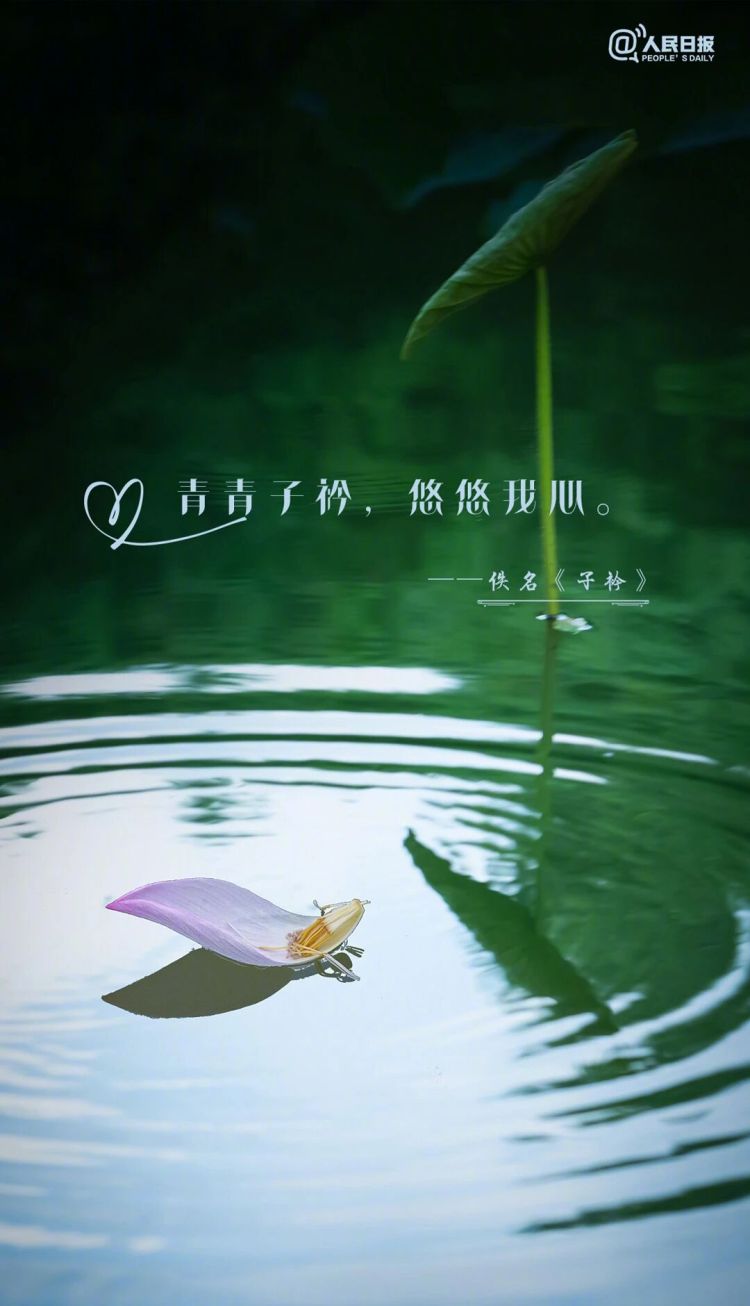 句句不提愛，句句都是愛