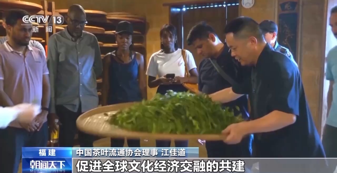國際茶日來“萬里茶道”的起點 赴一場茶香之約