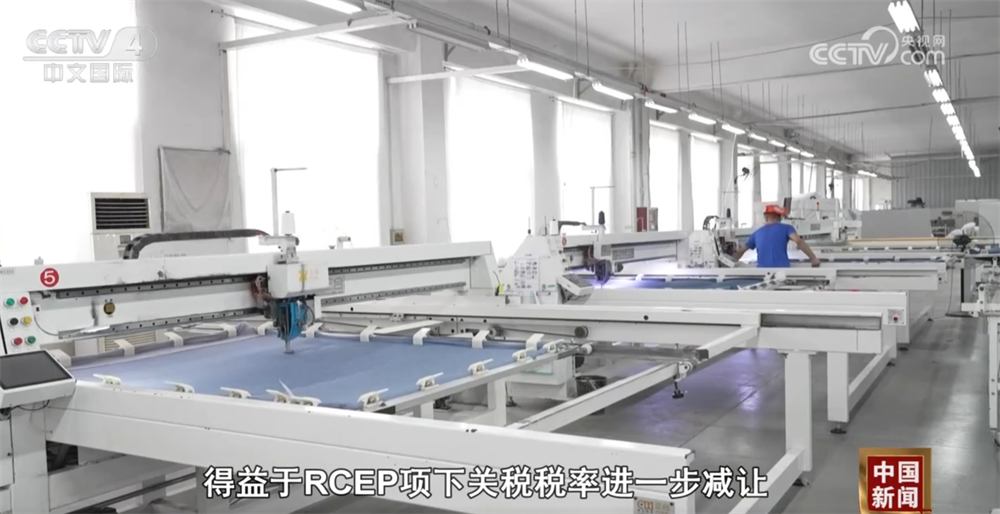 透過數據看RCEP政策紅利不斷釋放 助力中國外貿企業拓展“新”空間