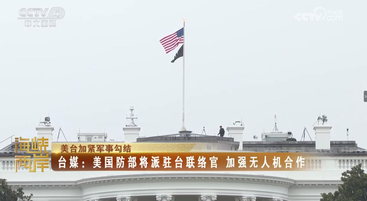煽動台灣民眾“合法持槍” 美政客包藏禍心_fororder_捕獲.JPG