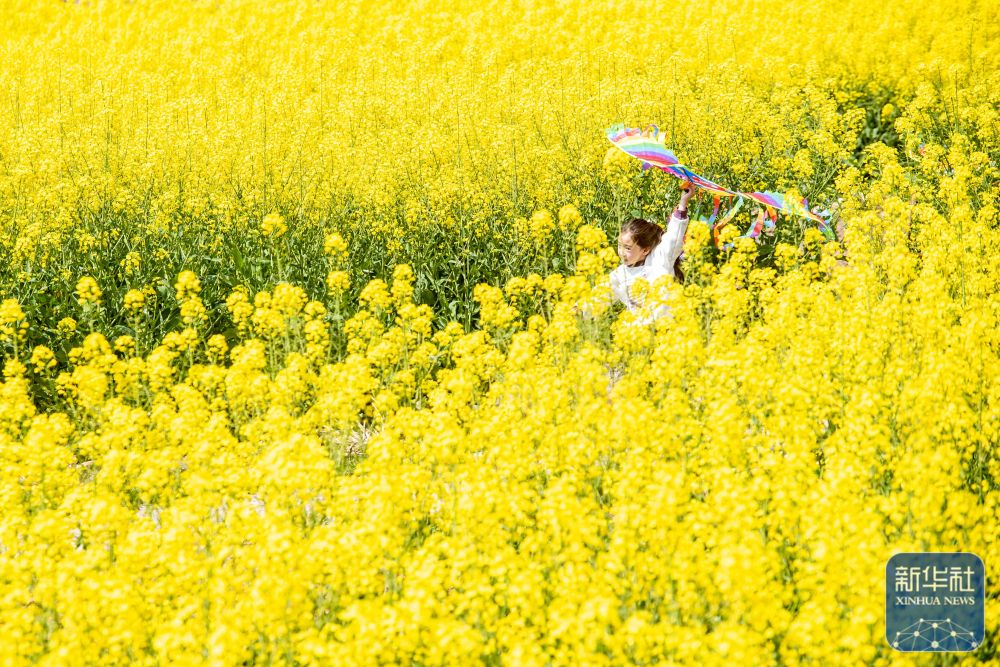 春光作序 運動迎接夏的暖陽