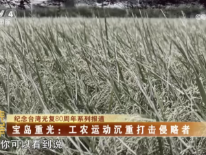 【海峽兩岸】紀念台灣光復80週年系列報道——寶島重光：工農運動沉重打擊侵略者