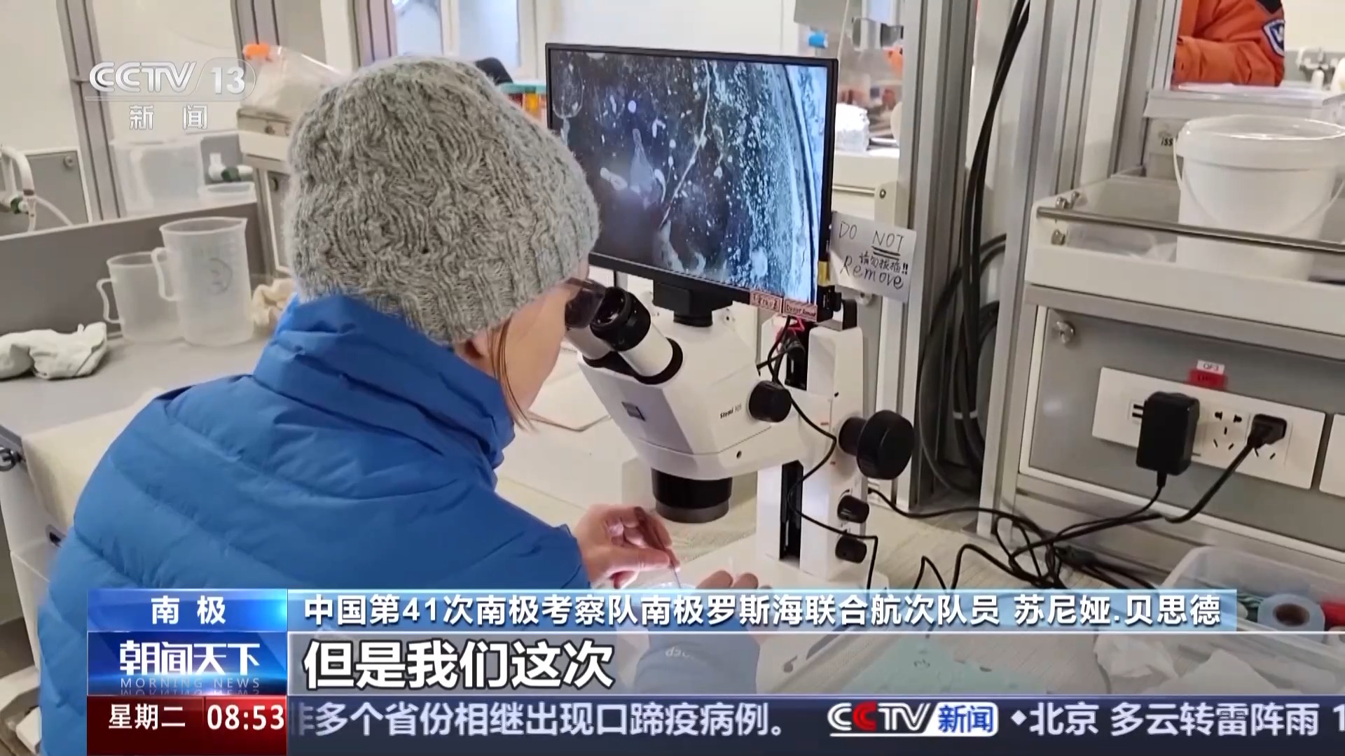 涉及海冰研究、海洋生物等 中國南極科考有了新發現 涉及海冰研究、海洋生物等 中國南極科考有了新發現