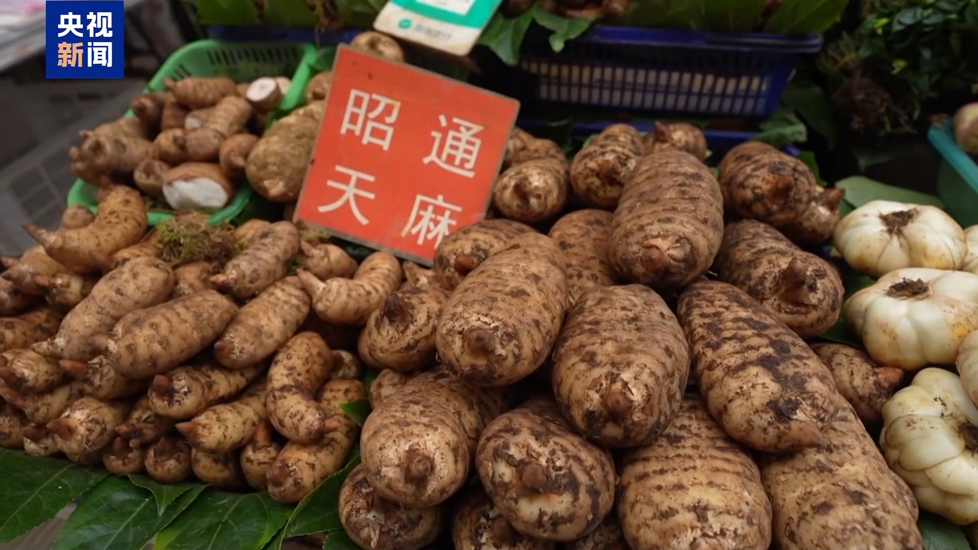 南北早餐圖鑒：煙火氣裏藏著豐收密碼