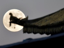 驚艷大圖來了!一起“雲賞”年度最大超級月亮 驚艷大圖來了!一起“雲賞”年度最大超級月亮