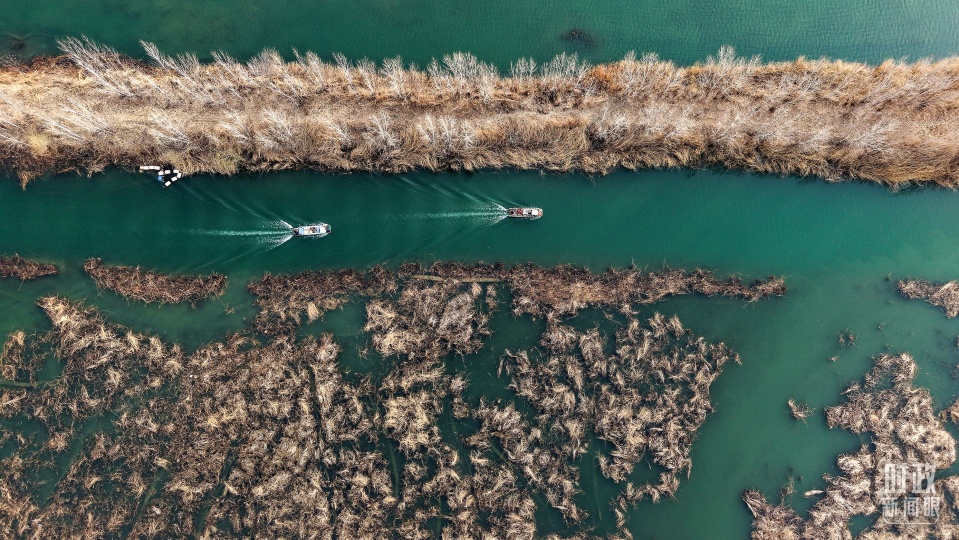 時政新聞眼丨第四次到雄安，習近平為“千年大計”作出重要部署