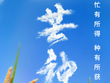 芒種節氣小知識來了 夏種作物都有什麼？