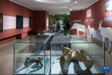 感受埃塞俄比亞國家博物館