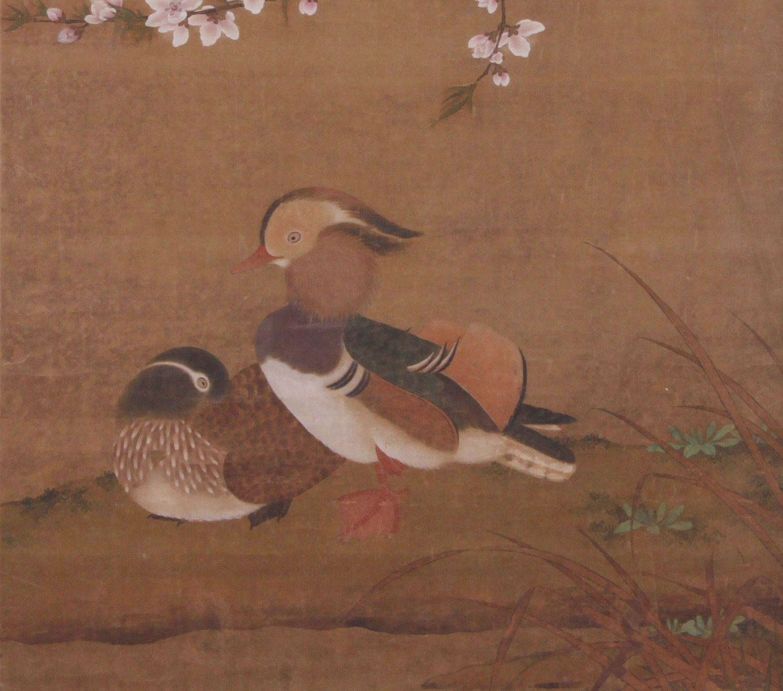今日七夕，鵲橋下游來一對鴛鴦
