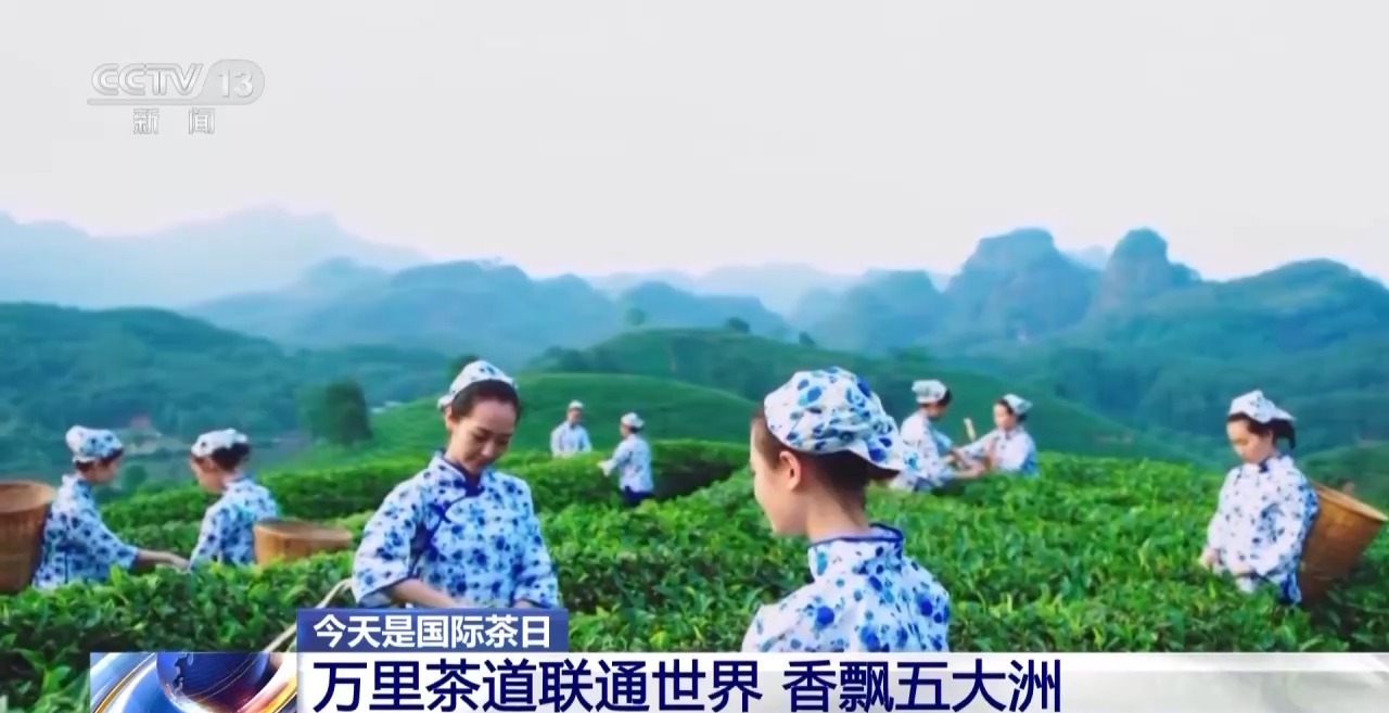 國際茶日來“萬里茶道”的起點 赴一場茶香之約
