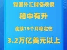 中國外匯儲備規模上半年保持穩中有升