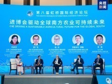 虹橋論壇首次聚焦全球南方農業可持續發展 虹橋論壇首次聚焦全球南方農業可持續發展