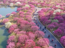 春光作序 運動迎接夏的暖陽