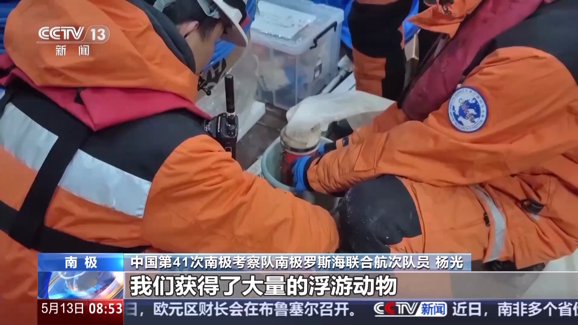 涉及海冰研究、海洋生物等 中國南極科考有了新發現 涉及海冰研究、海洋生物等 中國南極科考有了新發現