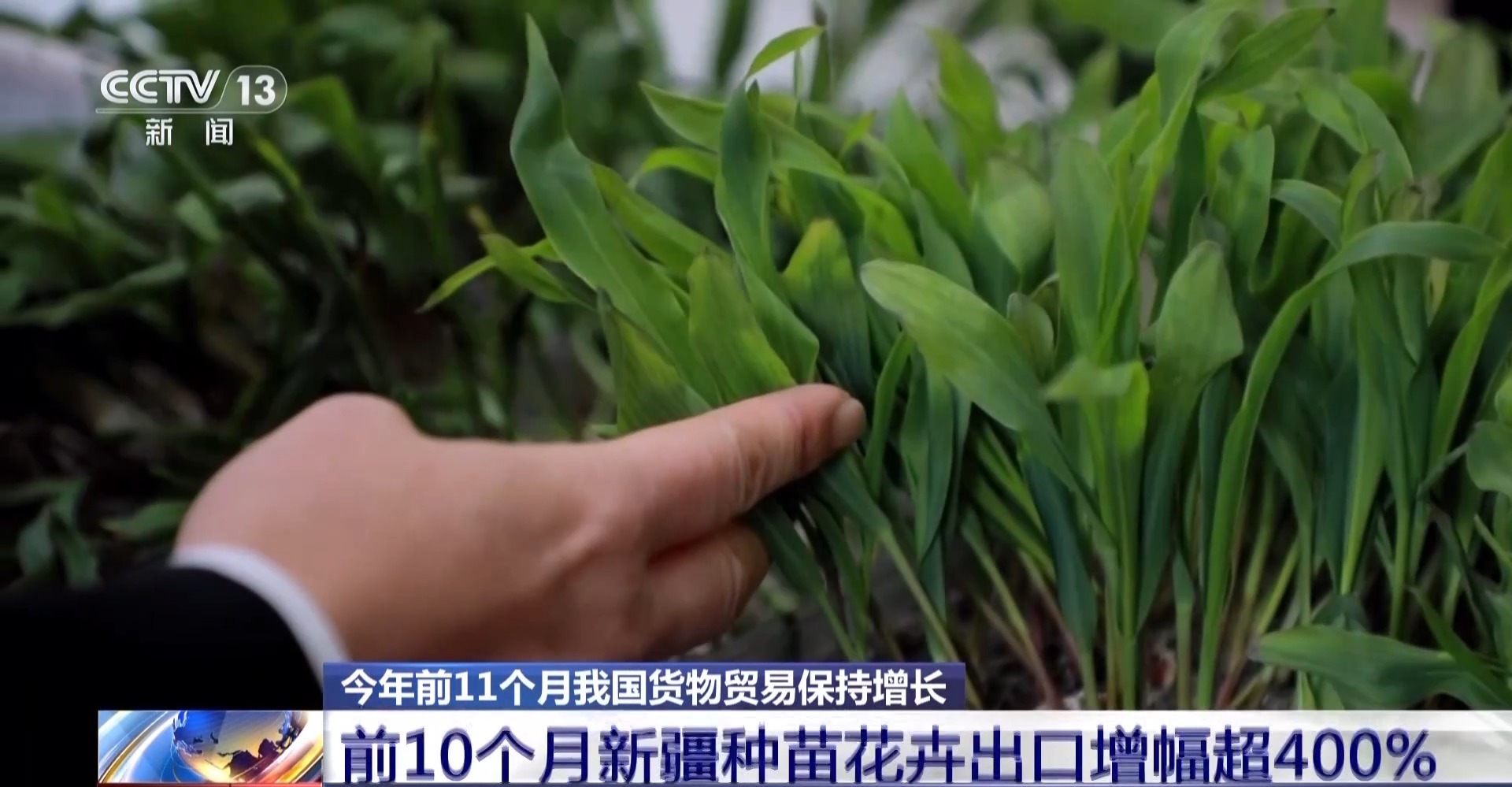 為何前11個月外貿走得穩？三大關鍵詞解讀