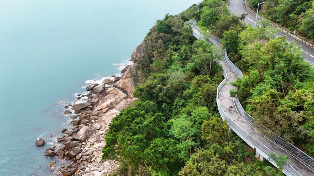 體育地理丨躍動大灣區