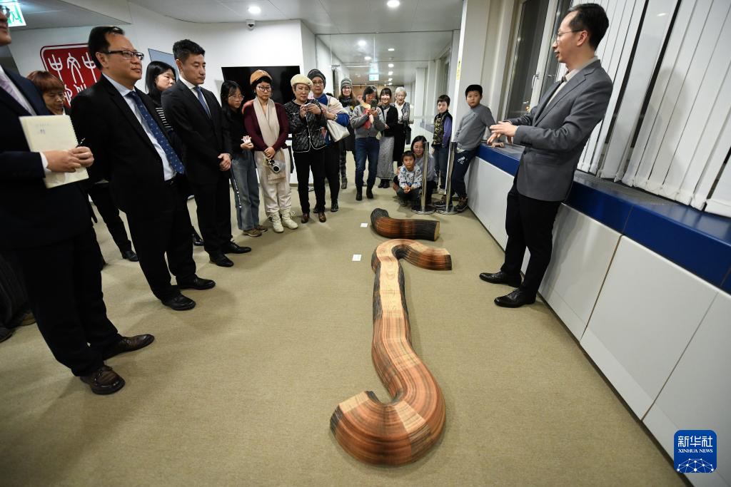 中國當代紙本藝術展在瑞士伯爾尼舉辦