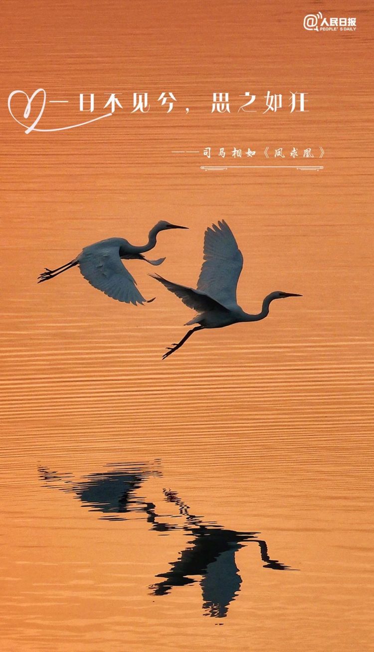 句句不提愛，句句都是愛