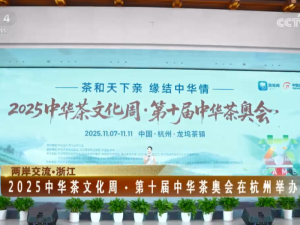 【海峽兩岸】2025中華茶文化周·第十屆中華茶奧會在杭州舉辦