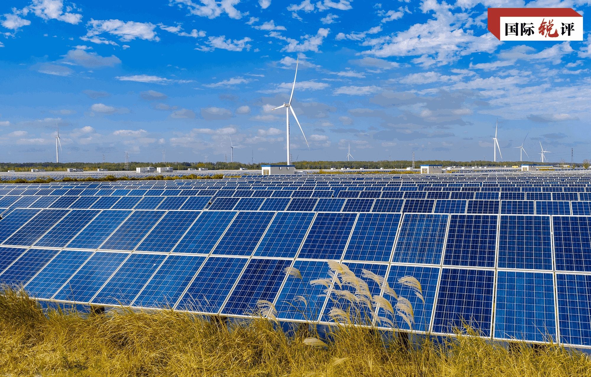 國際銳評丨落實天津峰會成果 把上合組織做優做強