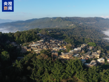 世界遺産地普洱景邁山10月1日起試行免費預約入園