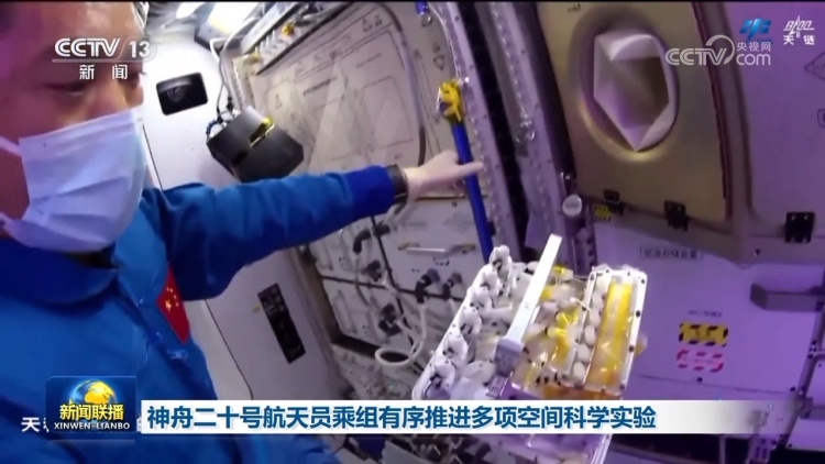 神舟二十號航天員乘組有序推進多項空間科學實驗