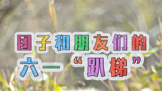 大熊貓國家公園的糰子們和朋友的六一“趴梯”正式開啟_fororder_大熊貓fin1