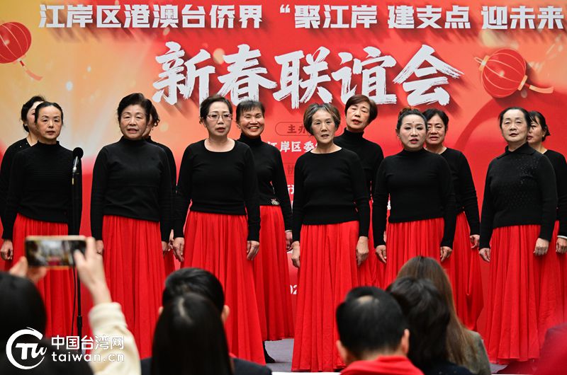 武漢江岸區舉辦港澳臺僑界新春聯誼活動