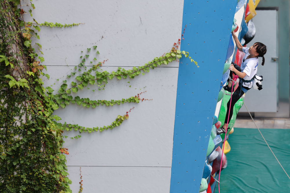 體育地理丨躍動大灣區