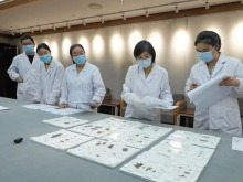 國寶安家！子彈庫戰國帛書正式入藏湖南省博物館