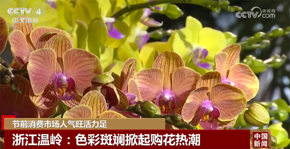 多元業態繪就新圖景解鎖新花樣 節前各地消費市場活力足、人氣旺