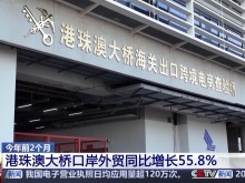 前2個月港珠澳大橋口岸外貿同比增長55.8%