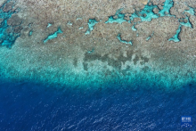 探訪黃岩島國家級自然保護區