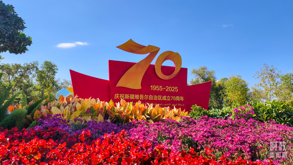 時政新聞眼丨歷史性的新疆之行開啟,傳遞哪些重要信息 時政新聞眼丨歷史性的新疆之行開啟,傳遞哪些重要信息