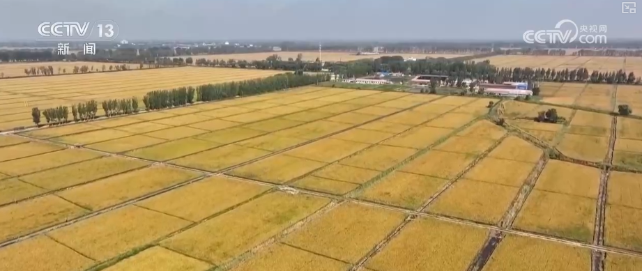 1623.9億元、263.2萬億元、506億人次，活躍！“數”看中國經濟三季報