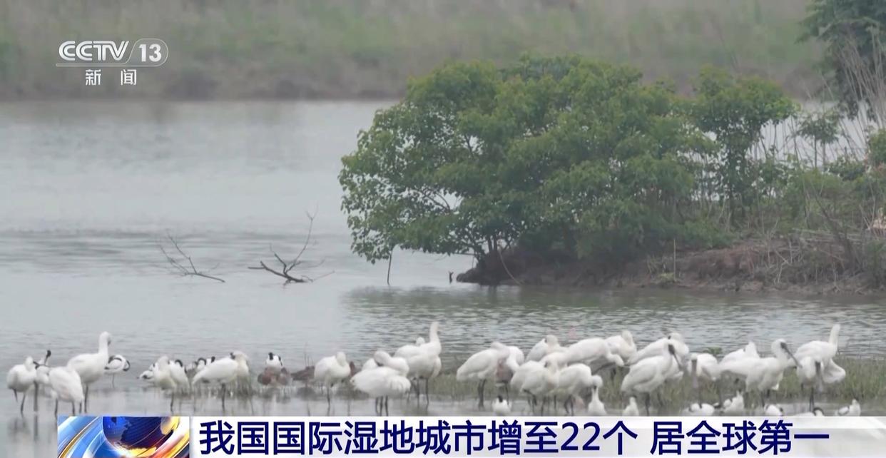 中國國際濕地城市增至22個 濕地面積穩定在5635萬公頃以上